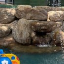 곰골산촌 이미지