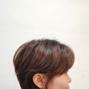 보문역 이미지