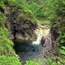 돌배나무 민박 이미지