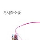 복사꽃도서관 이미지