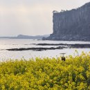 상예동-8 | 제주도 태교여행 4월 날씨, 협재 보롬사진관, 카페루시아, 산방산 탄산온천, 숙성도 중문점 후기