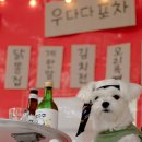 우다다 유치원 이미지