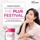 업플러스 쿠키뉴스