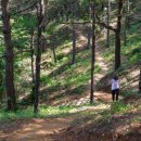 봉성산 공원 이미지