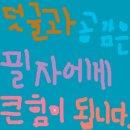 버드아레나 이미지