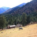 희선농장 이미지