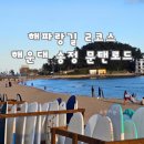 문탠로드 | 해파랑길 2코스 트레킹 해운대 송정해수욕장 문탠로드