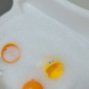 비바워시 이미지