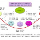 카맨파크 이미지