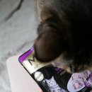 휴먼메딕스 이미지