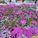 회수마을 경로당 이미지