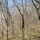 무악정 화장실 이미지