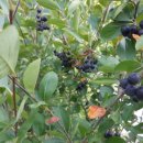 호구농장 이미지