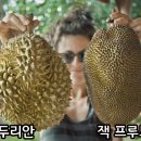 번영투어