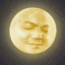 [웨딩일기] #3. 웨딩플래너 결정(로맨틱아틀리에/그린웨딩/유순자웨딩 비교)