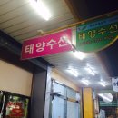 태양수선 이미지
