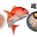 충무회초장
