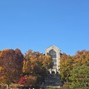 밀렌인포아트(주) | 이화여대 시각디자인과 졸업전시회 후기! / 이대 졸전