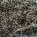 세신한의원 이미지