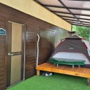 아모르 루시 이미지