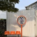 짱 놀이터 | [애견카페] 실내+야외 놀이터 완비! 김포 고촌 샌드피피 생생 후기🐾