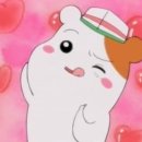 카츠 고릴라 이미지