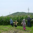 장덕2리 이미지