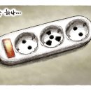 발모아 이미지