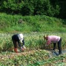 남해-190 이미지