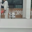 인성유아체육관 이미지