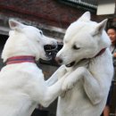 행복뽑기방 이미지