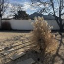 스테이 띠앗 | 충남 공주 독채 스테이 띠앗 친구들이랑 공주여행 감성숙소 내돈내산