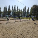 강천섬관리사무소화장실 이미지