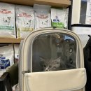 애견11번가 캣넬 | [구루구루] 위고백 강아지 고양이 이동가방 백팩 (내돈내산) / 타 제품 비교