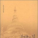 붓다의 길, 위빠사나의 길(지산스님/한길) 이미지