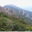 찬영축산 Daum카페