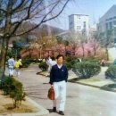 동아리 퍼머대학