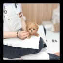 유앤미글로벌 - 구미시 | 유앤미글로벌