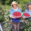 수철농장 이미지