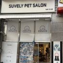 슈블리펫살롱 이미지