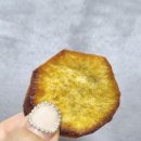 웰빙팜 이미지