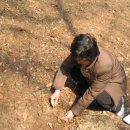 거시기농원 이미지