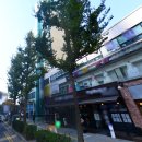 옛 시민회관 사거리1 이미지