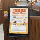 한양육회 | [해남] 드라이브 중 발견한 숨은 맛집 | 한양한우 해남 육회비빔밥 후기