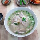 무진장 | 제주도 5박6일 프롤로그, 4월의 제주여행✈