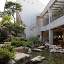 보스케 (Bosque) 이미지