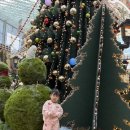 평일도서관 이미지