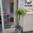 스마일팩토리치과교정과치과의원 이미지