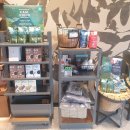 스타벅스 평택안중DT점 이미지