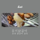유미닭갈비 | 춘천 닭갈비골목, 유미닭갈비 다녀온 후기!